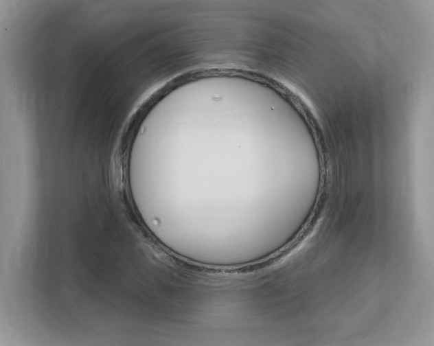 X0000111890925200907231444