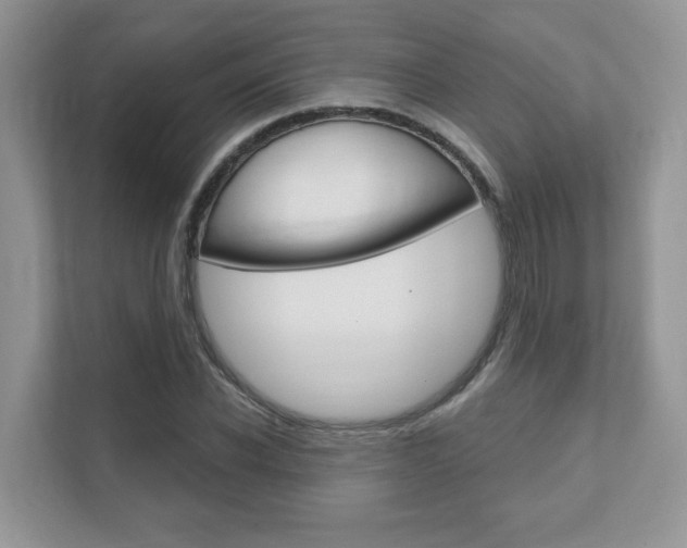 X0000111890926200907231444