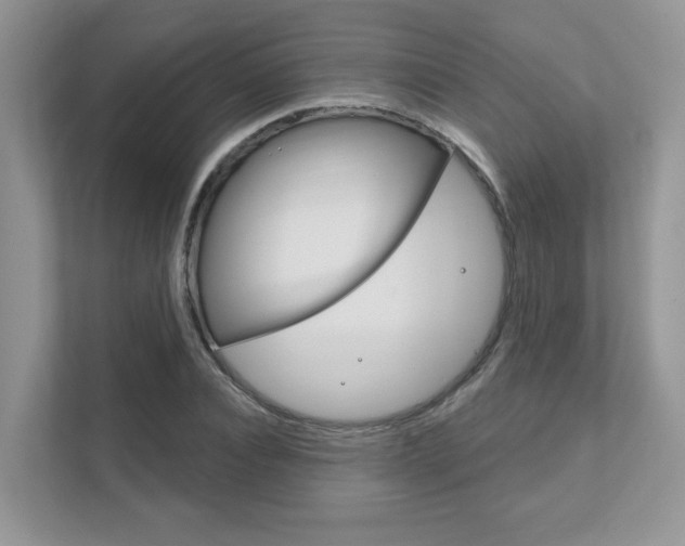 X0000111890928200907231444