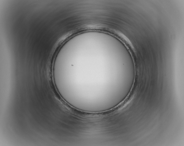 X0000111890930200907231444