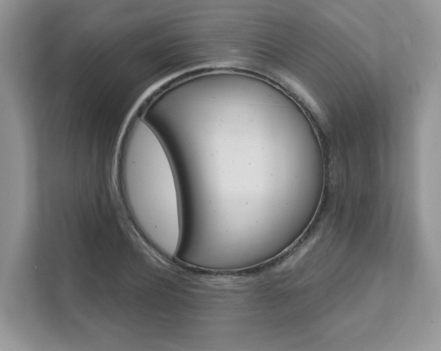X0000111890932200907231444
