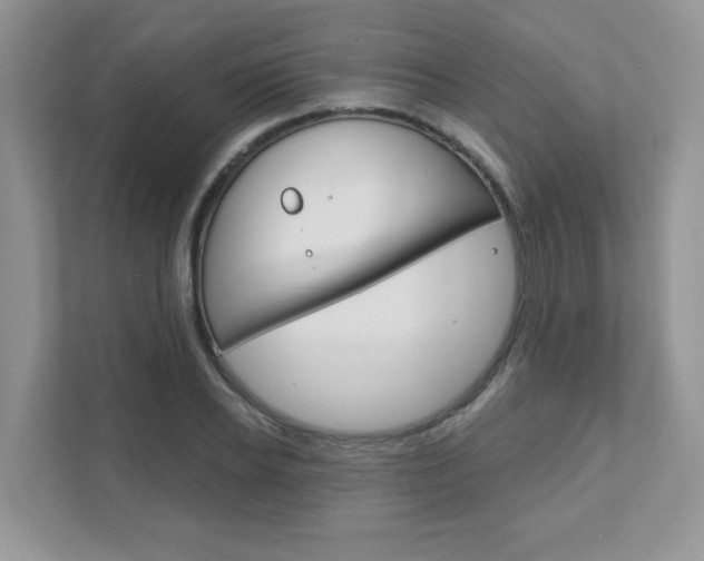 X0000111890934200907231444