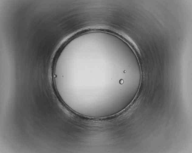 X0000111890935200907231444