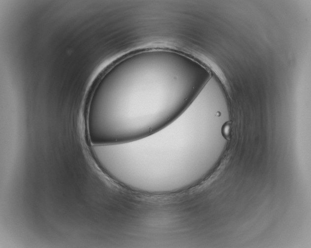 X0000111890936200907231444