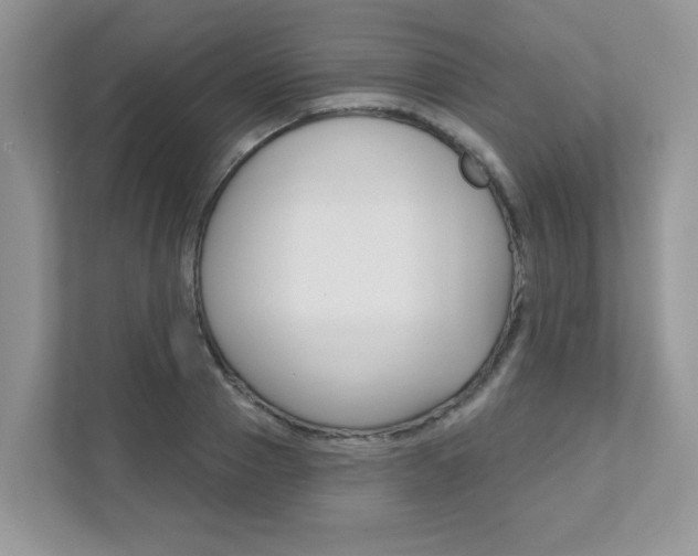 X0000111890937200907231444