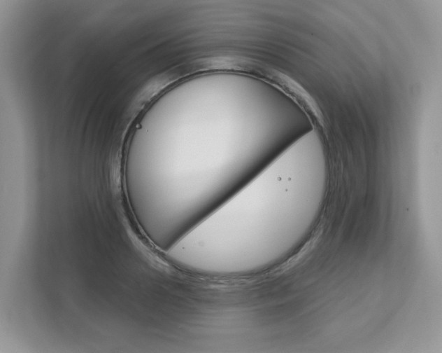 X0000111890938200907231444