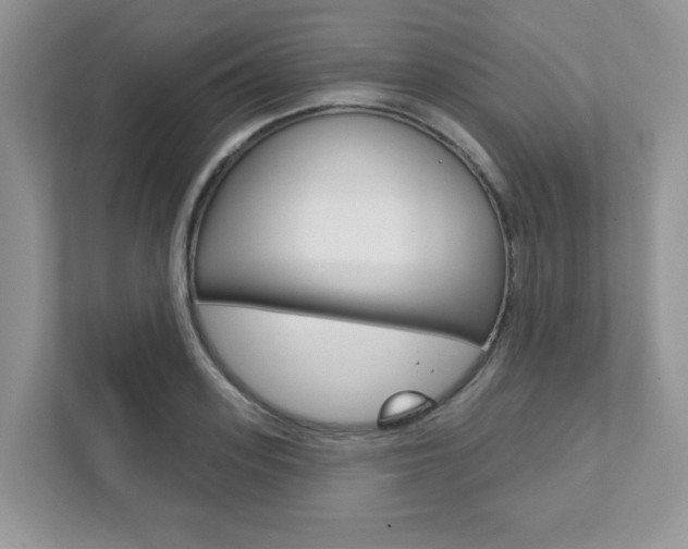 X0000111890939200907231444