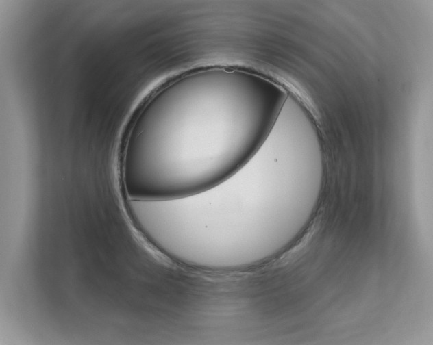 X0000111890942200907231444