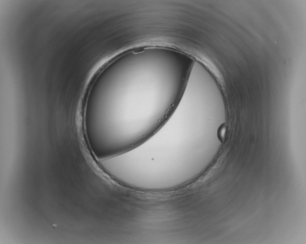 X0000111890944200907231444
