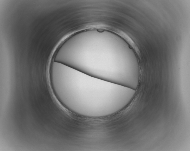 X0000111890947200907231445