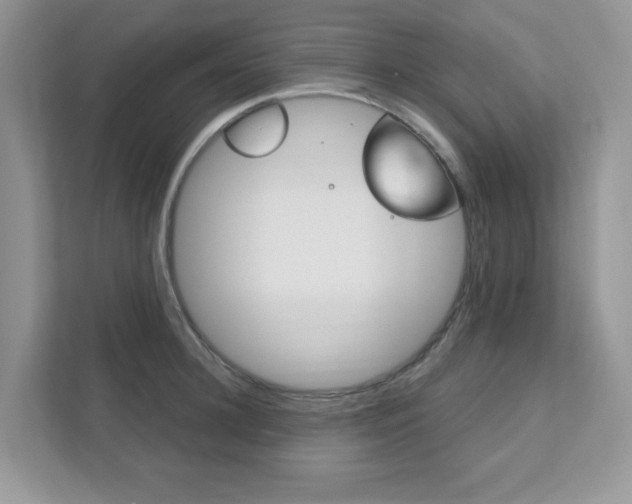 X0000111890948200907231445