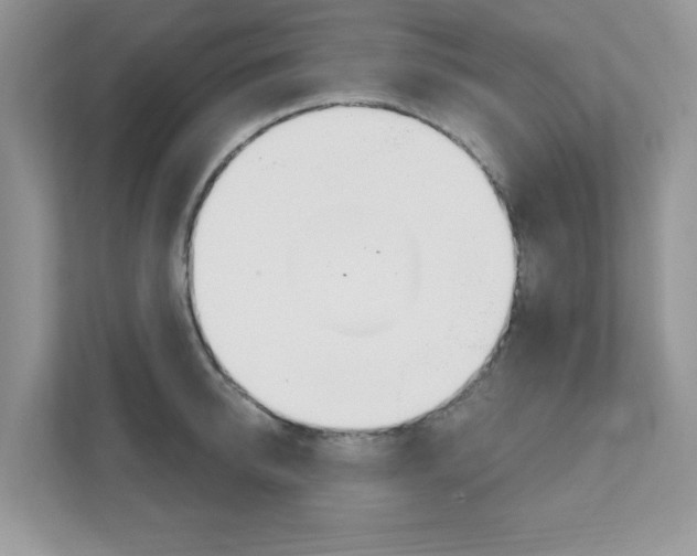 X0000111890950200907231445