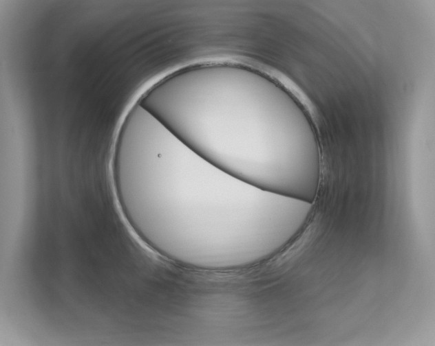 X0000111890951200907231445