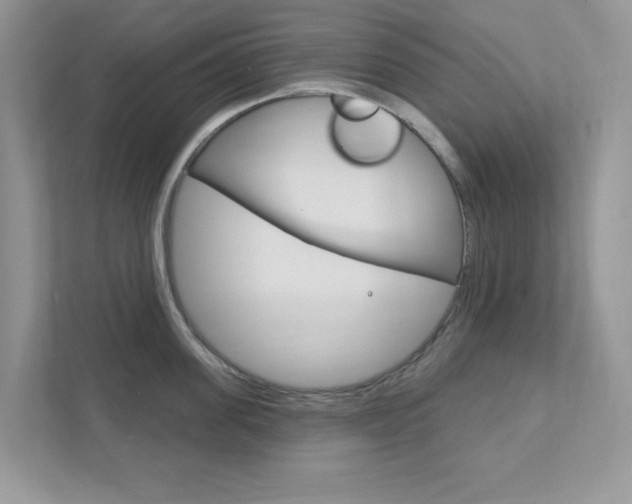 X0000111890955200907231445