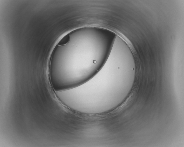 X0000111890956200907231445