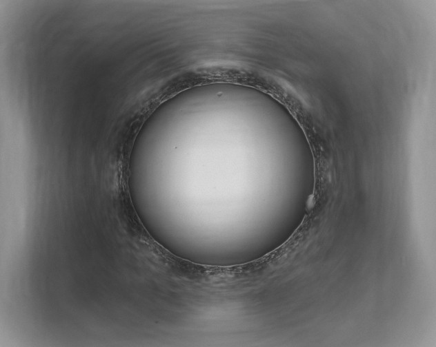 X0000111890965200907231444