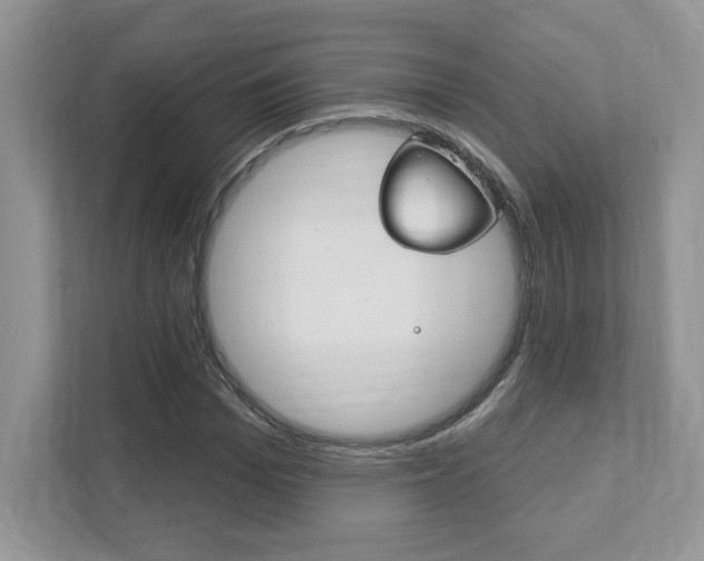 X0000111890969200907231444