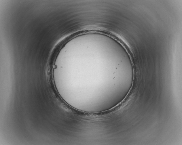 X0000111890971200907231444