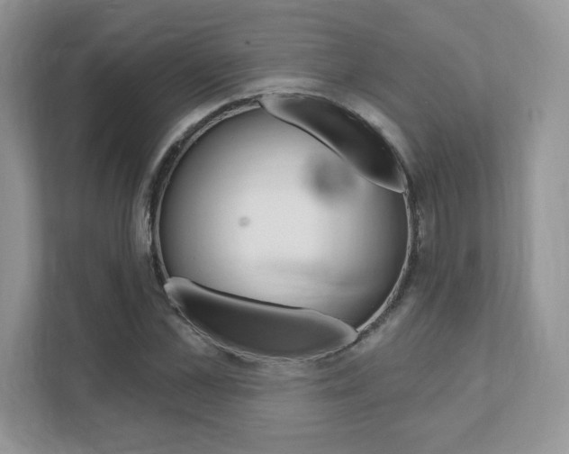 X0000111890973200907231444