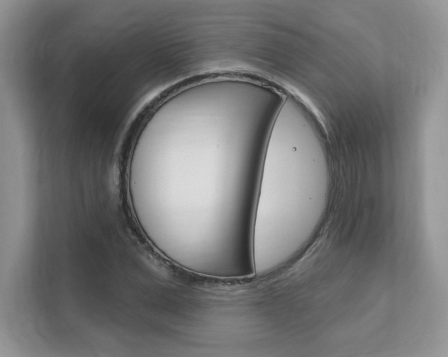 X0000111890975200907231444