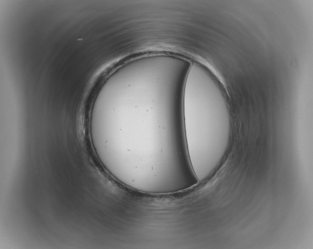 X0000111890979200907231444