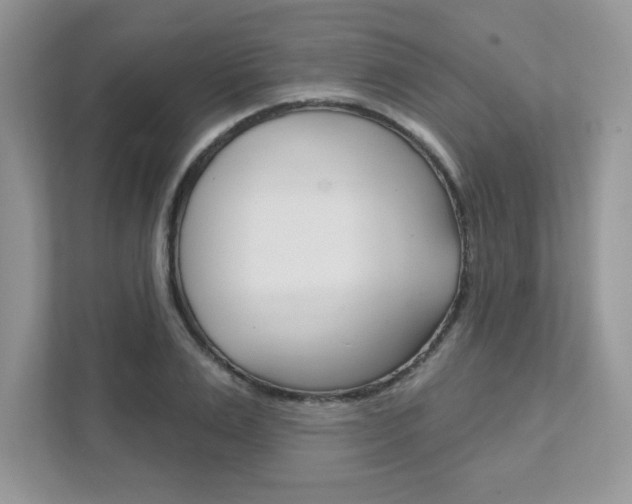 X0000111890983200907231444
