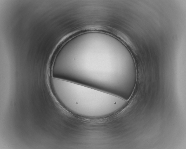 X0000111890984200907231444