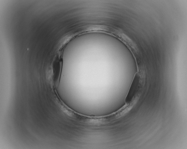 X0000111890985200907231444