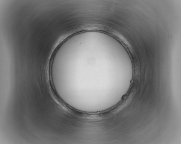 X0000111890986200907231444