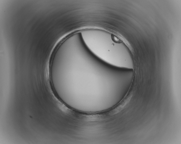 X0000111890988200907231444