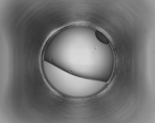 X0000111890989200907231444