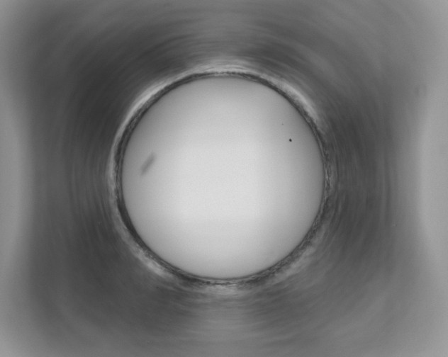 X0000111890990200907231444