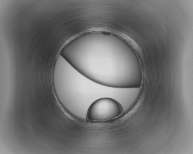X0000111890993200907231444