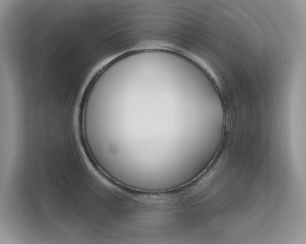 X0000111890995200907231444
