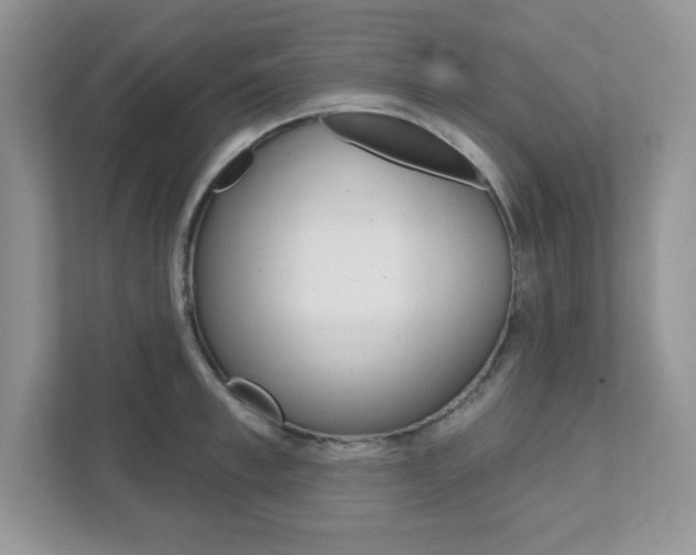 X0000111890997200907231444