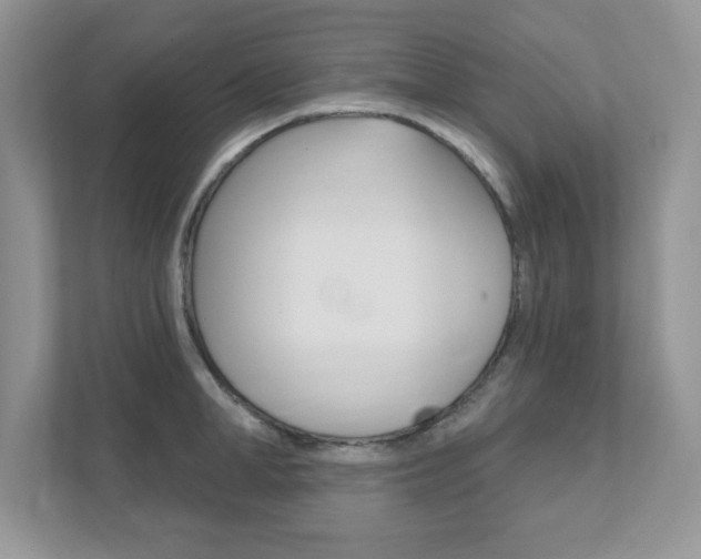 X0000111890998200907231444