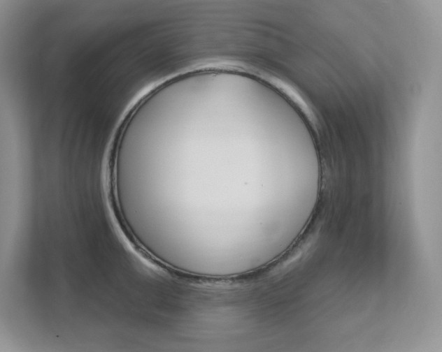 X0000111890999200907231444
