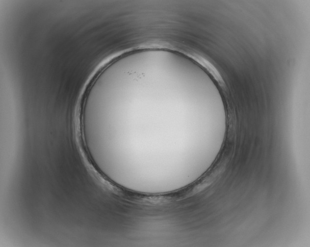 X0000111891000200907231444