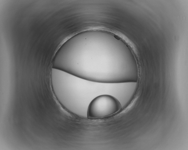 X0000111891001200907231444