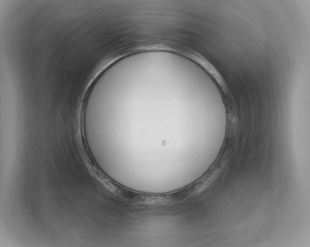 X0000111891002200907231444