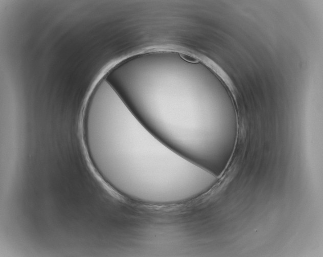 X0000111891005200907231443