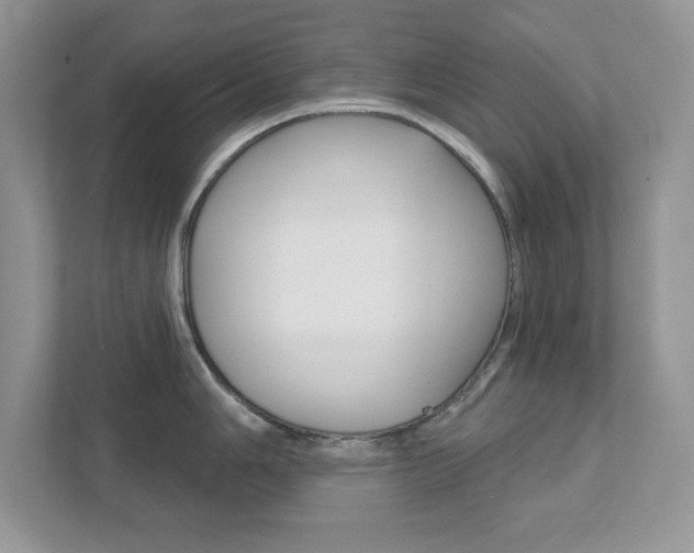 X0000111891006200907231443