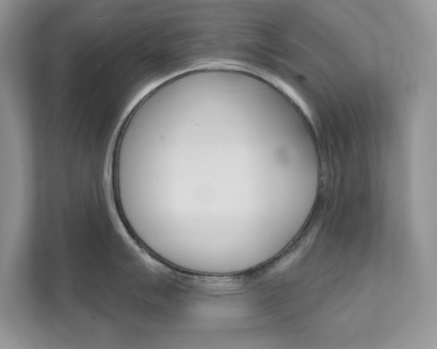 X0000111891007200907231443