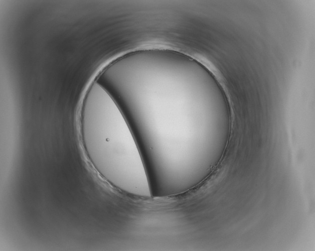 X0000111891008200907231443