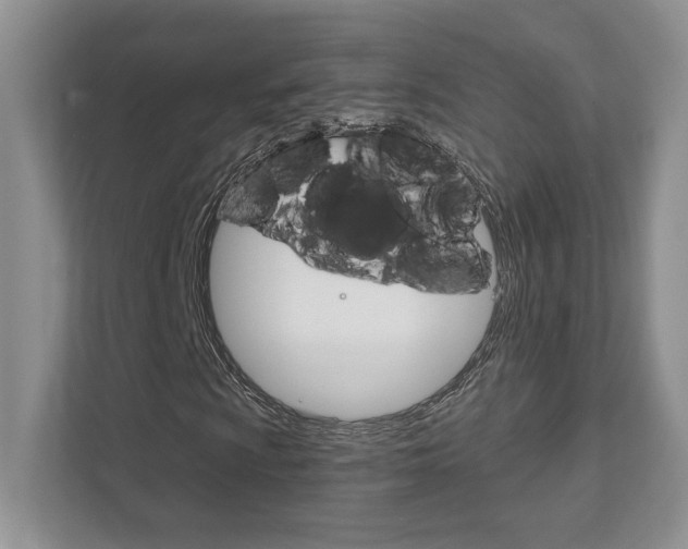 X0000111891009200907231443