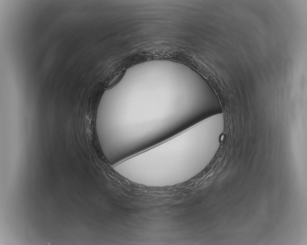 X0000111891010200907231443