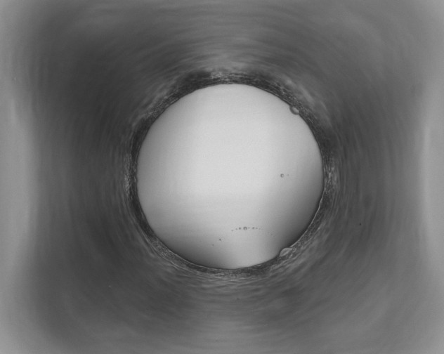 X0000111891012200907231443