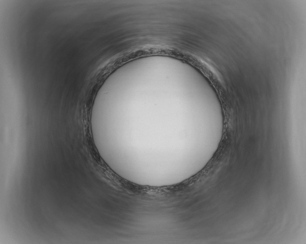 X0000111891015200907231443