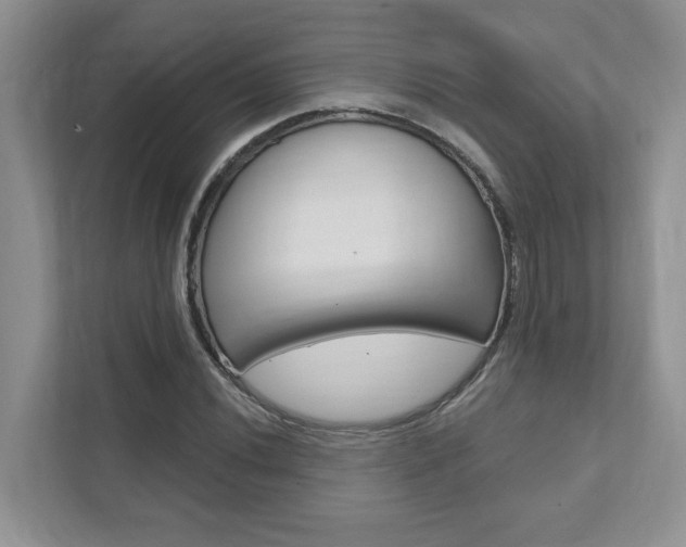 X0000111891020200907231443