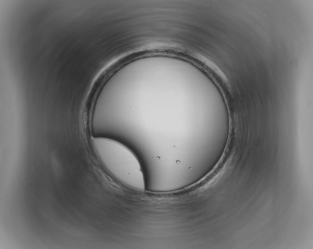 X0000111891021200907231443